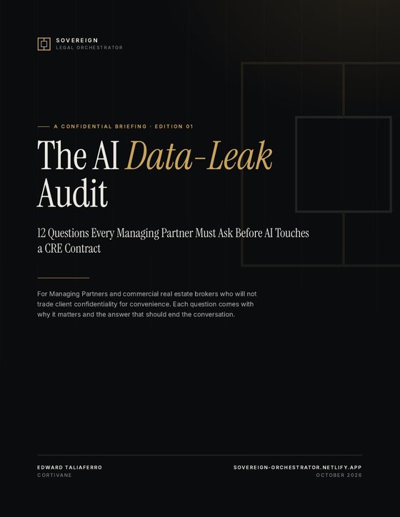 Cover of The AI Data-Leak Audit